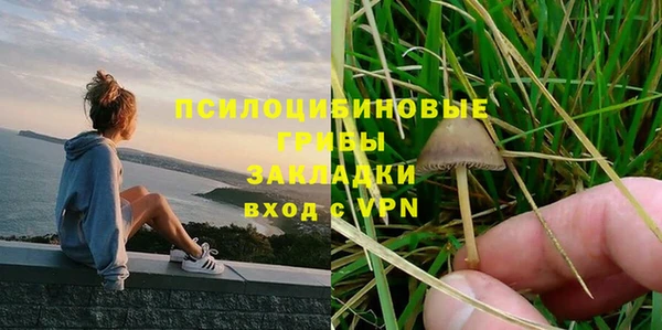 прущая мука Бронницы