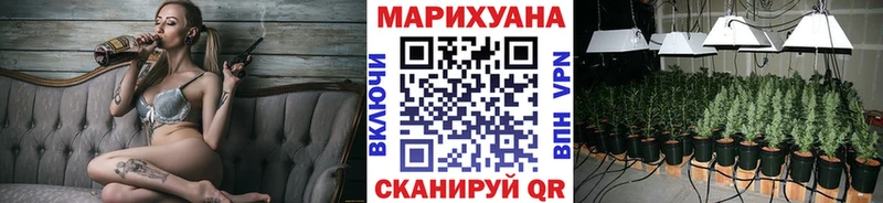 Каннабис планчик Минусинск